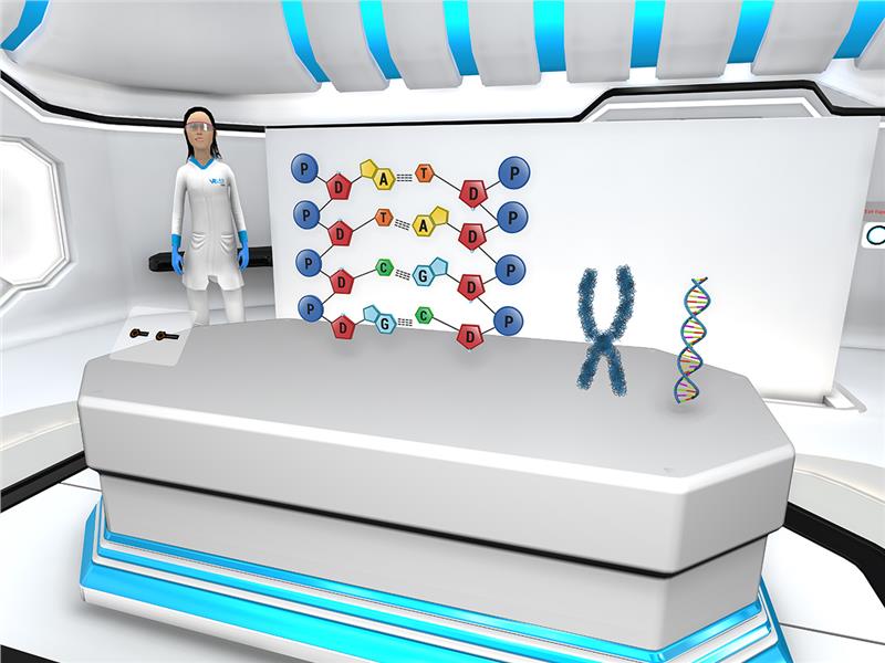 Organisation of Genetic Material