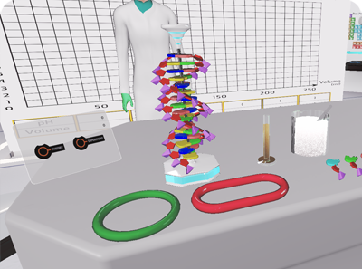 DNA Structure