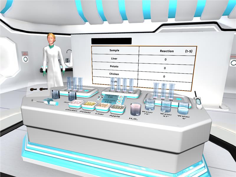 Enzymes Experiment