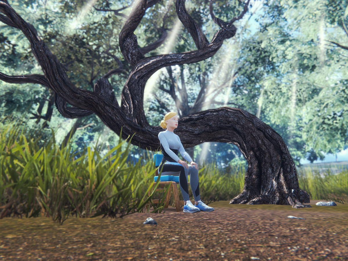 Exercise and Flexibility in the Forest
