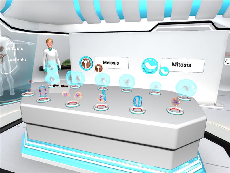 Mitosis and Meiosis Experiment