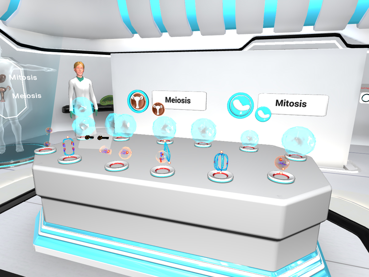 Mitosis and Meiosis