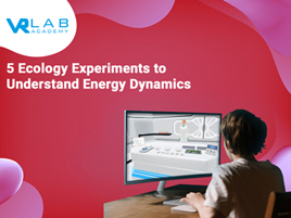 5 Ecology Experiments to Understand Energy Dynamics