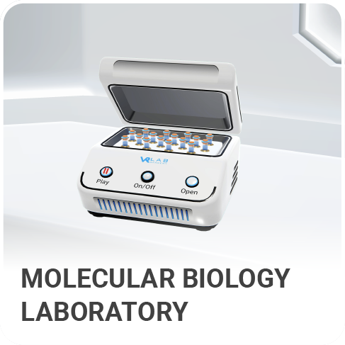 Molecular Biology Laboratory